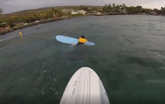 sister wives surf