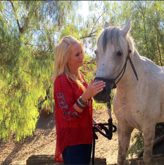 Kim Richards Horse Rescue