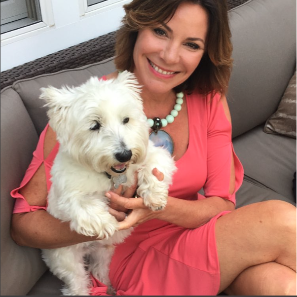 luann de lesseps