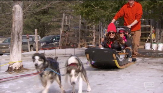 dog sledding!