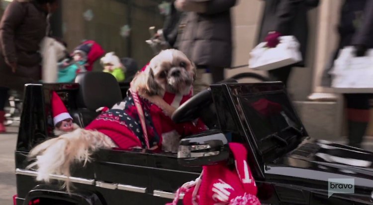 Sonja.Morgan.Dog.Jeep.RHONY