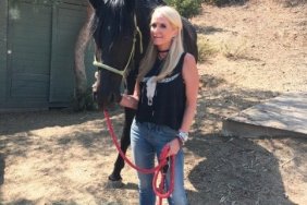 Kim Richards Horse Rescue