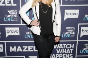 RHOC's Shannon Beador Hiring A Lawyer To Review David Beador's Income; Thinks He's Lying About His Assets