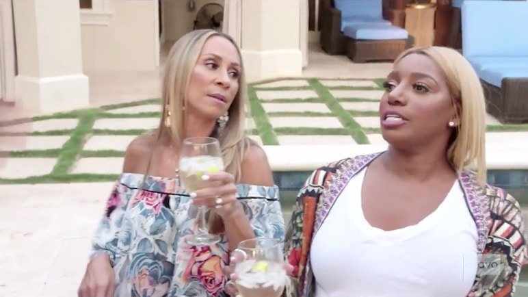 NeNe Leakes will never forget the grudge she has with Porsha