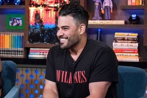 Shahs of Sunset Star Mike Shouhed