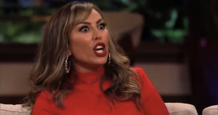 Kelly Dodd Wants To Leave Real Housewives Of Orange County Because Of Vicki Gunvalson Drug Accusations; Gina Kirschenheiter & Emily Simpson Shade Vicki On Instagram