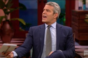 RHOC-Reunion-Andy-Cohen