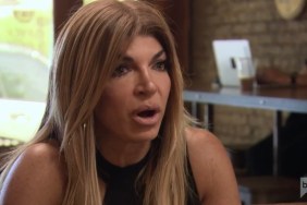 RHONJ-Teresa-Giudice