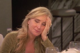 RHONY-Sonja-Morgan