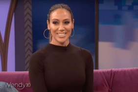 Melissa Gorga Wendy Williams Show