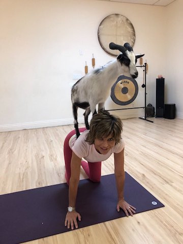Real Housewives Of Beverly Hills - Lisa Rinna Goat Yoga
