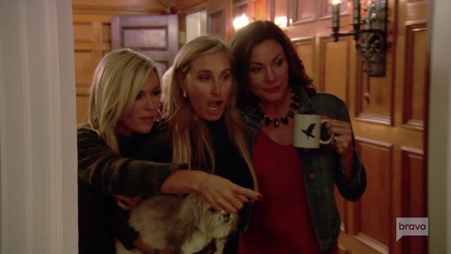 Tinsley Mortimer, Sonja Morgan, and Luann de Lesseps