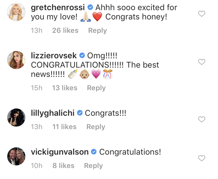 Real Housewives Of Miami Alum Joanna Krupa Is Pregnant With Her First Child; Bravolebrities Comment On The News