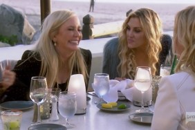 Real Housewives Of Orange County Shannon Beador