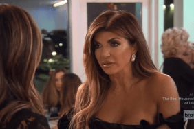 Teresa Giudice Real Housewives Of New Jersey