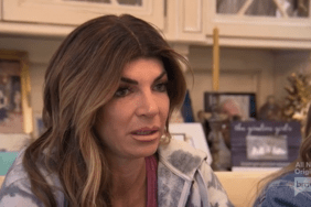 Teresa Giudice Real Housewives Of New Jersey