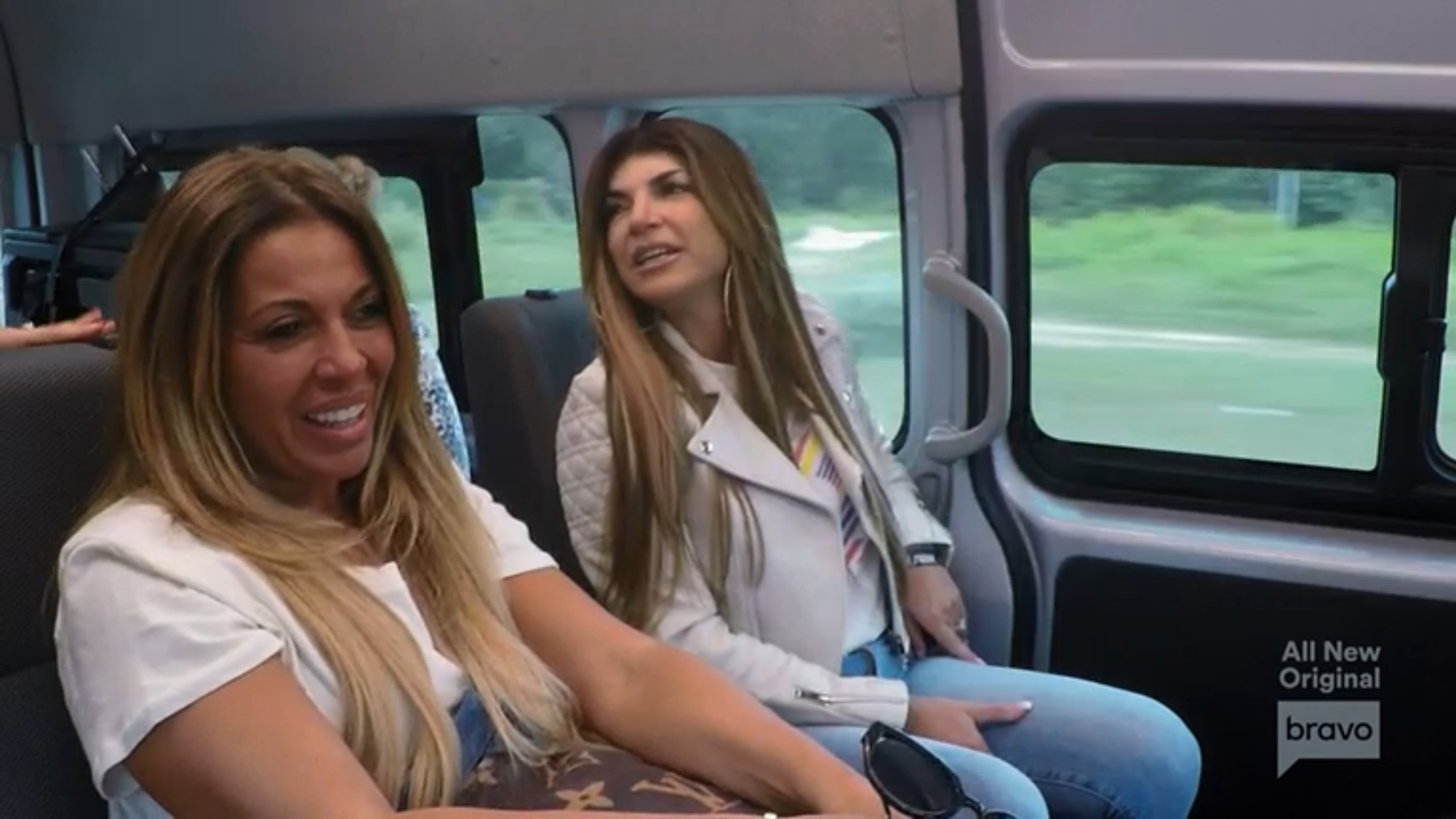 Dolores Catania Teresa Giudice Real Housewives Of New Jersey