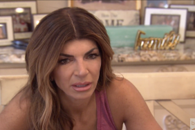 Teresa Giudice Real Housewives Of New Jersey