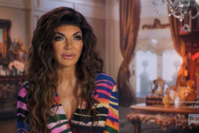 Teresa Giudice Real Housewives Of New Jersey