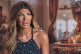 Teresa Giudice Real Housewives of New Jersey RHONJ