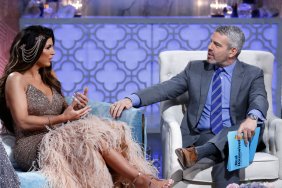 Teresa Giudice Andy Cohen