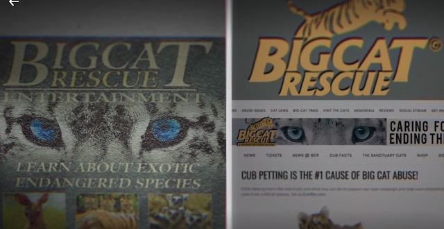 Joe Exotic Tiger King Big Cat Rescue