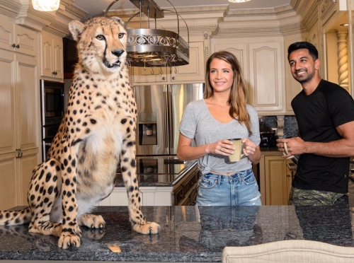 Naomie Olindo Metul Shah Doc Antle Tiger King