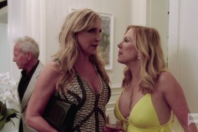 Ramona Singer Sonja Morgan Real Housewives Of New York