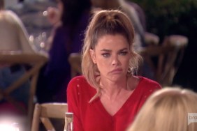 Real Housewives Of Beverly Hills Denise Richards