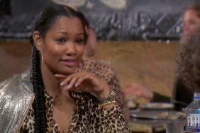 Real Housewives Of Beverly Hills Garcelle Beauvais