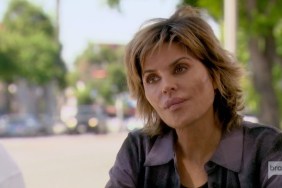 Real Housewives Of Beverly Hills Lisa Rinna
