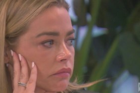 Denise Richards Real Housewives Of Beverly Hills