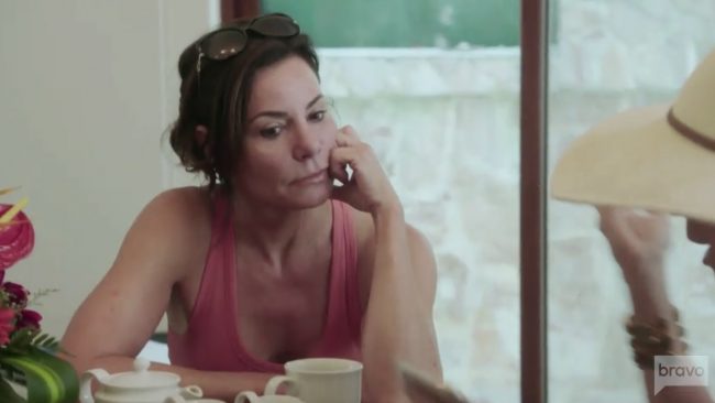 Luann de Lesseps Real Housewives Of New York