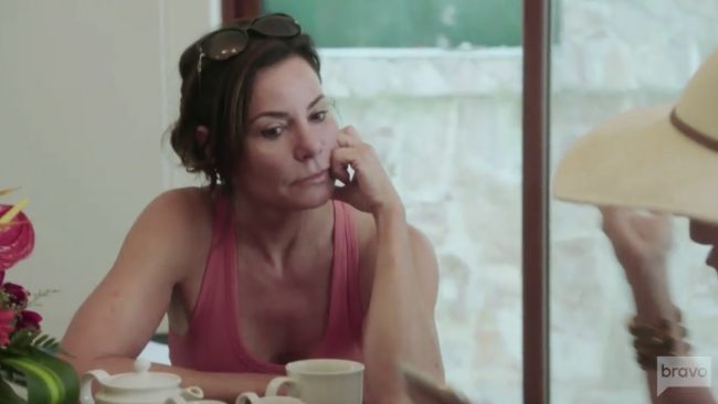 Luann de Lesseps Real Housewives Of New York