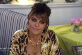 Lisa Rinna Real Housewives Of Beverly Hills