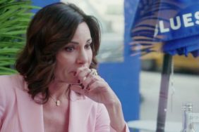 Luann de Lesseps Real Housewives Of New York