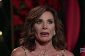 Luann de Lesseps Real Housewives Of New York