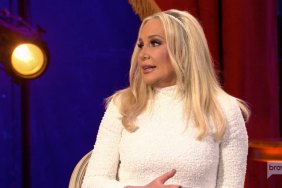 Real Housewives of Orange County reunion Shannon Beador