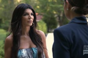 Teresa Giudice Real Housewives Of New Jersey