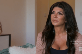 Teresa Giudice Real Housewives Of New Jersey