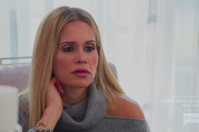 Jackie Goldschneider Real Housewives Of New Jersey