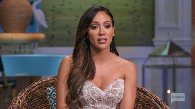 Melissa Gorga Real Housewives Of New Jersey