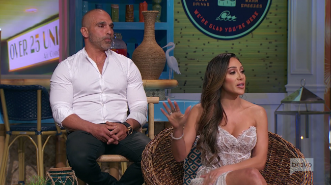 Joe Gorga Melissa Gorga Real Housewives Of New Jersey