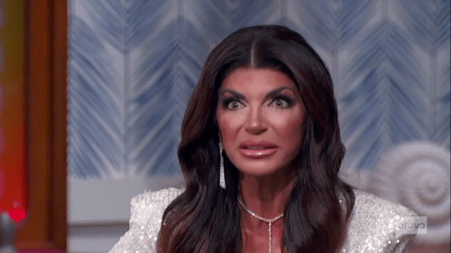 Teresa Giudice Real Housewives Of New Jersey