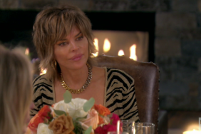 Lisa Rinna Real Housewives Of Beverly Hills