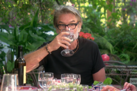 Harry Hamlin Real Housewives Of Beverly Hills
