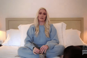 Erika Jayne Real Housewives Of Beverly Hills