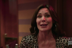 Luann de Lesseps Real Housewives Of New York