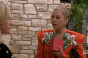 Sutton Stracke Real Housewives Of Beverly Hills