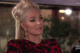 Erika Jayne Real Housewives Of Beverly Hills